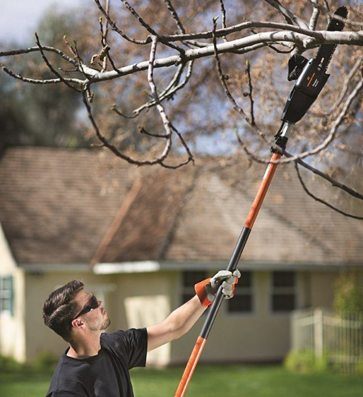 Best Electric Chainsaw on a Pole - featured image