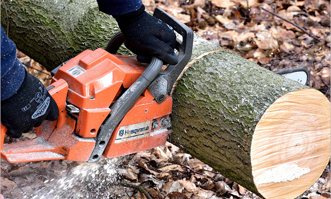 Best Chainsaw Uk - featured image